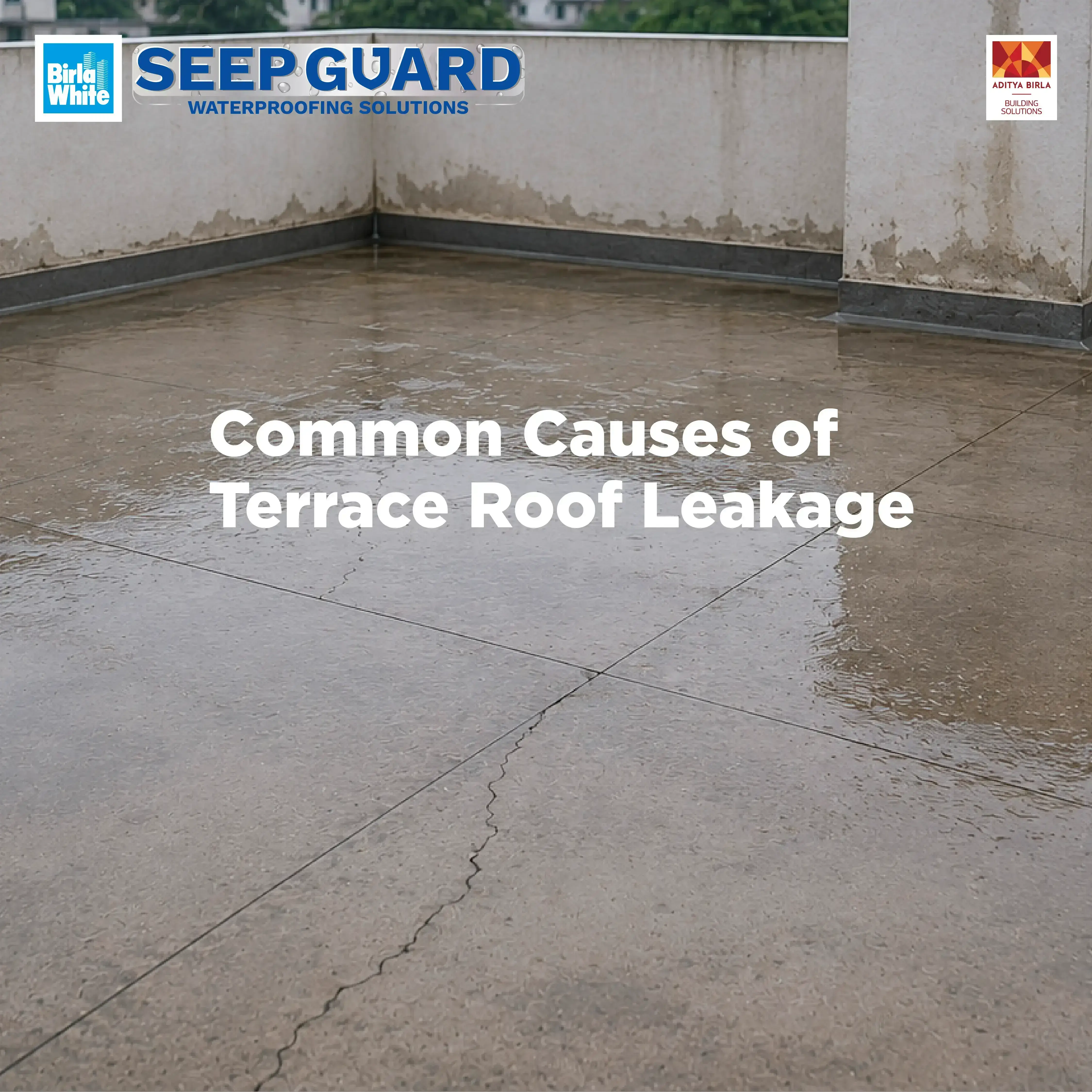 Common Causes of Terrace Roof Leakage.webp