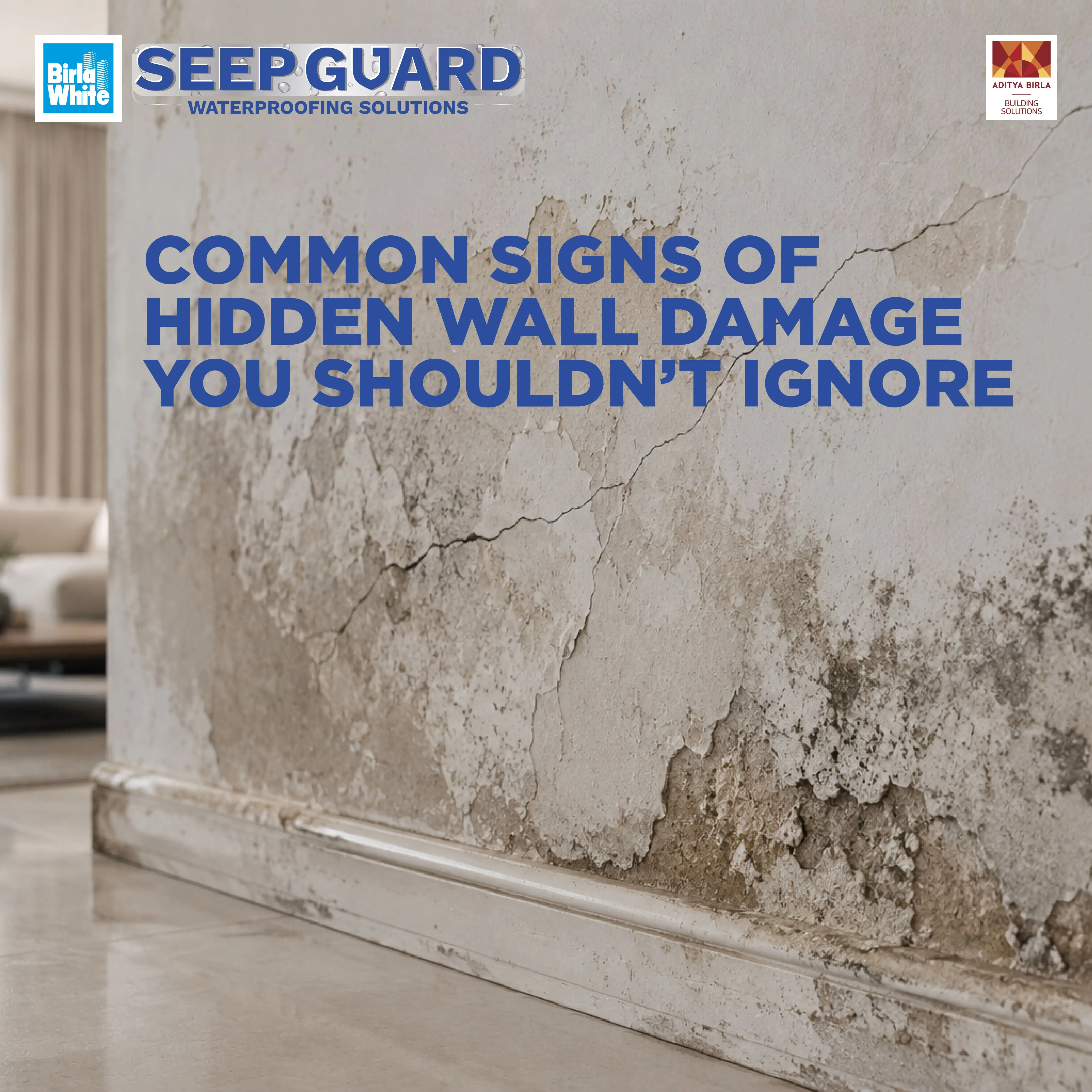 Common Signs of Hidden Wall