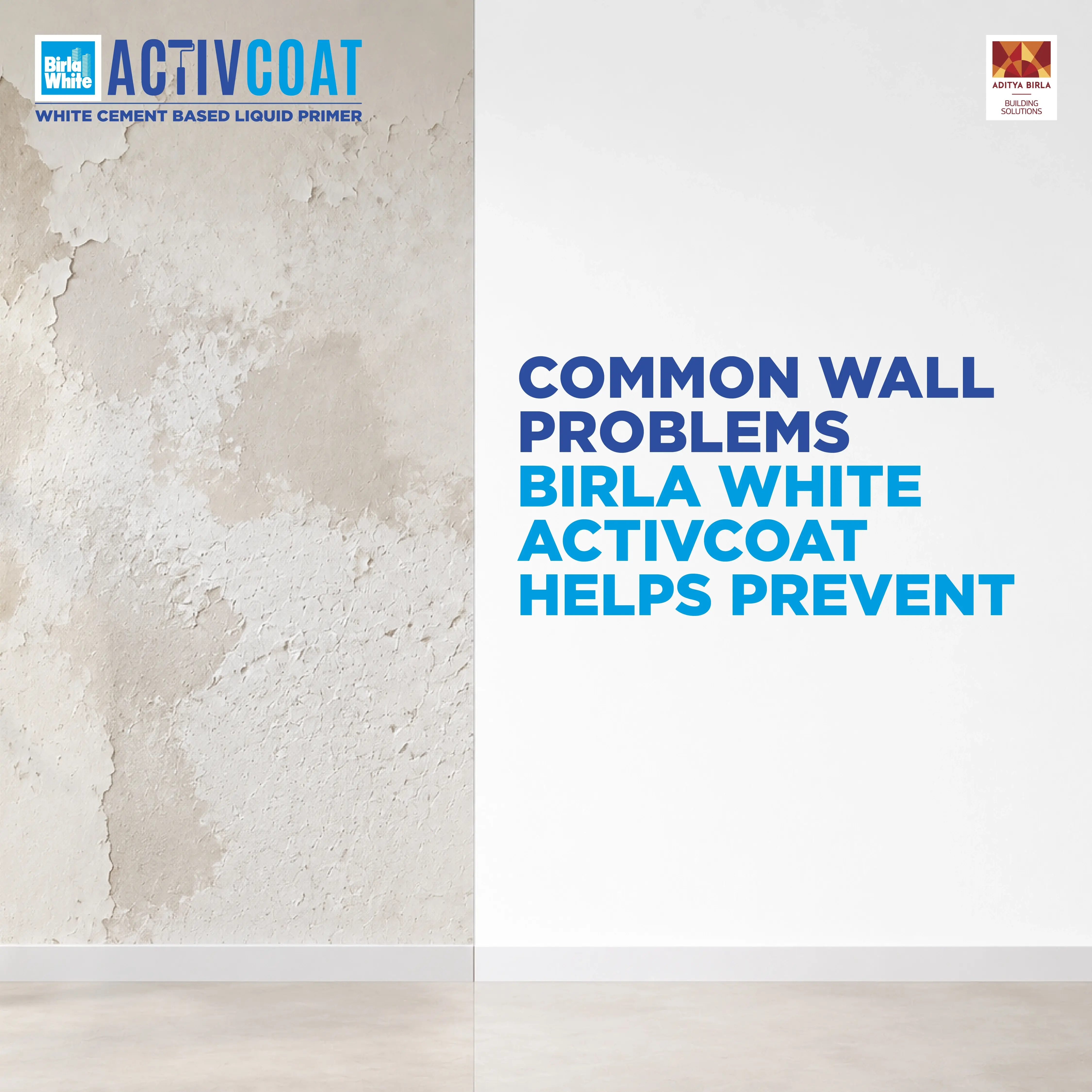 Common Wall Problems Birla White ActivCoat .webp