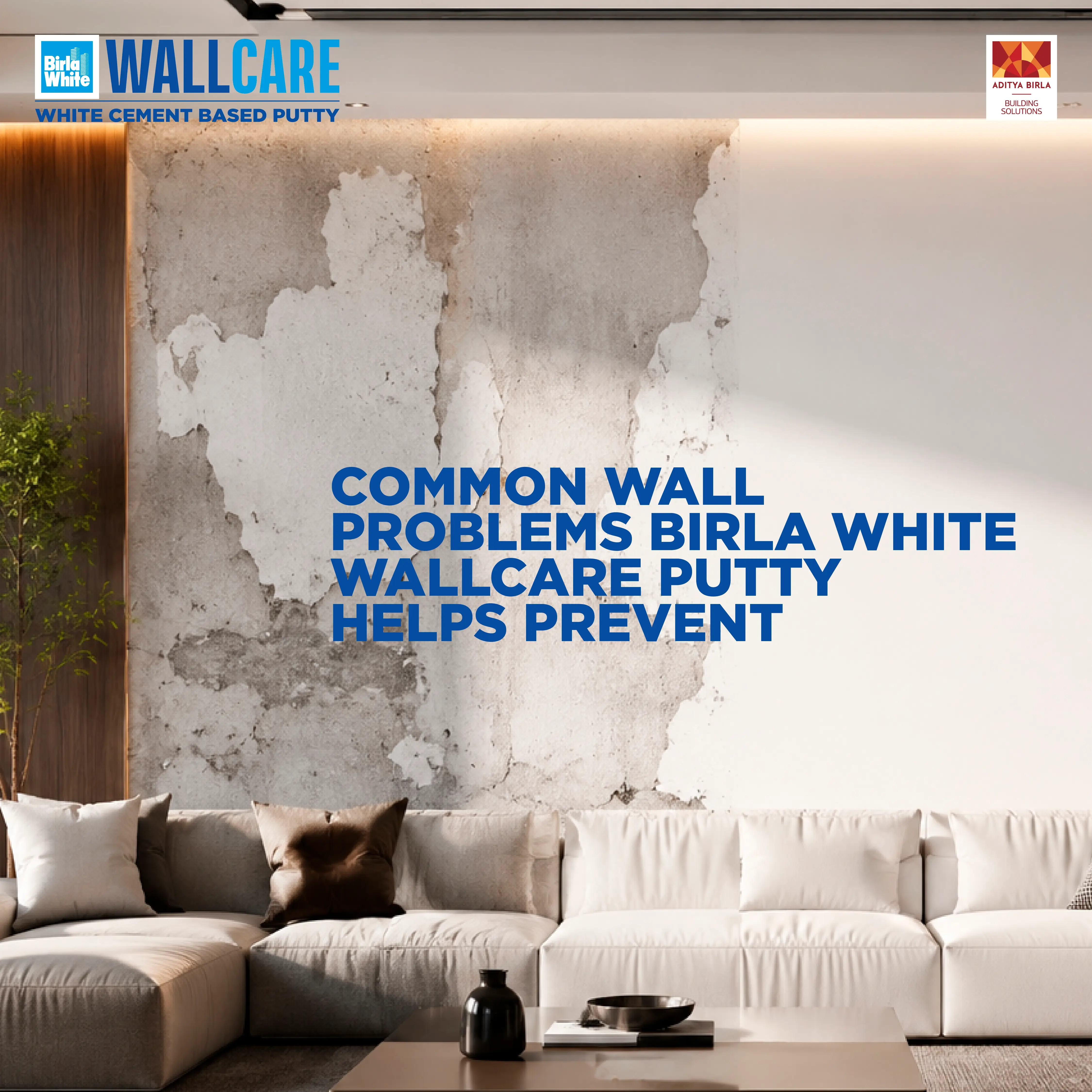 Common Wall Problems.webp