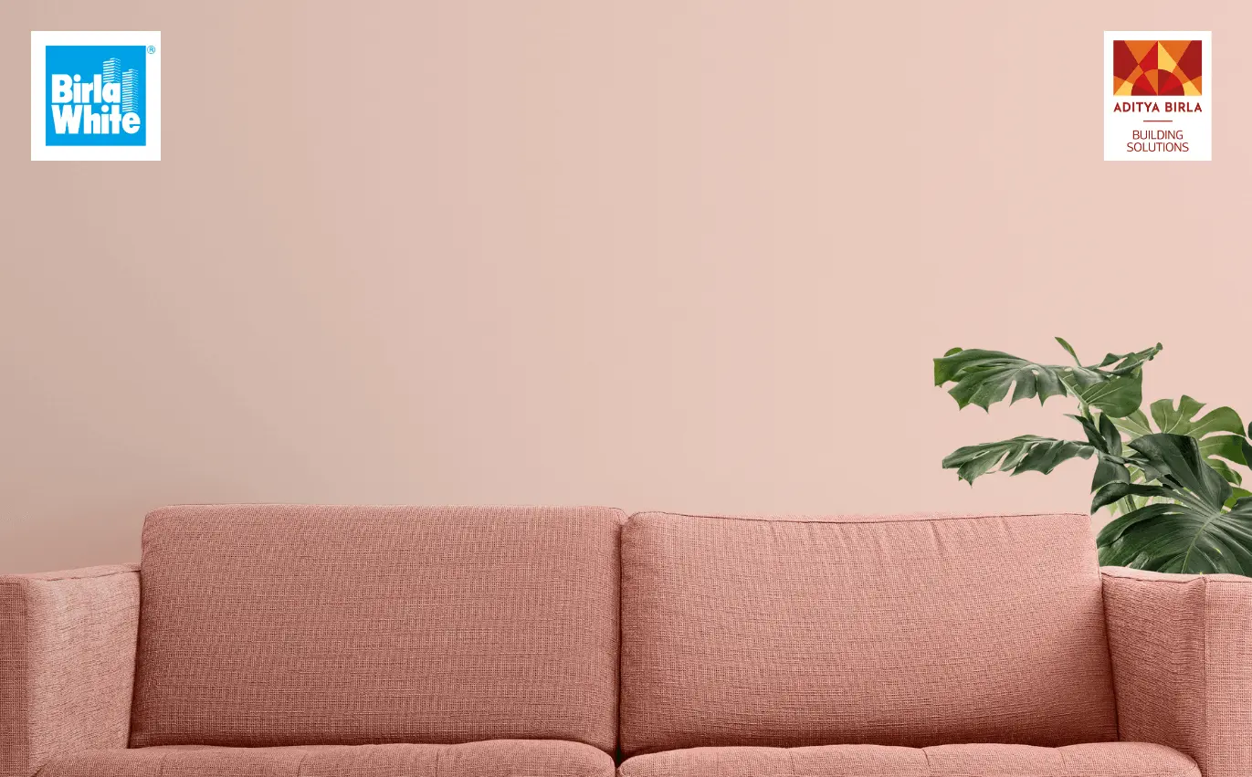 Distemper Wall Paint A Cost-Effective Solution for Interior Walls.webp