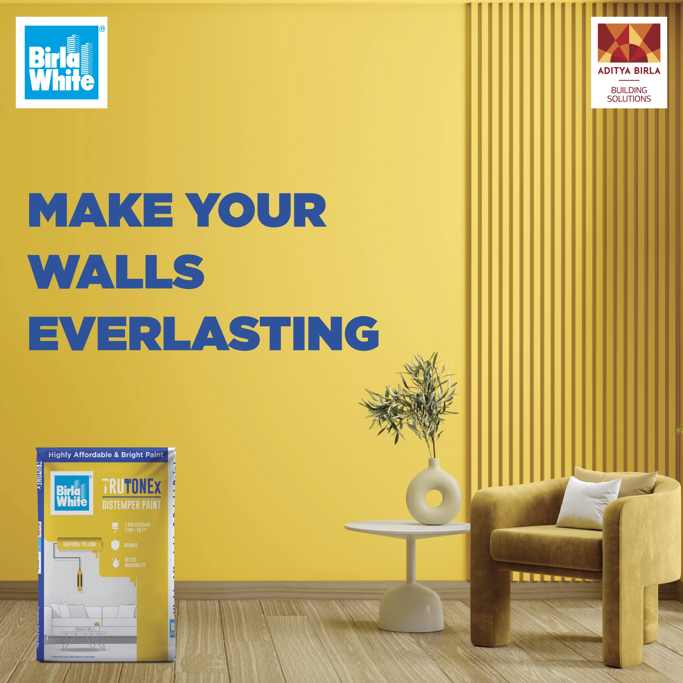 Durable Interior Walls with TRUTONEx Distemper.webp