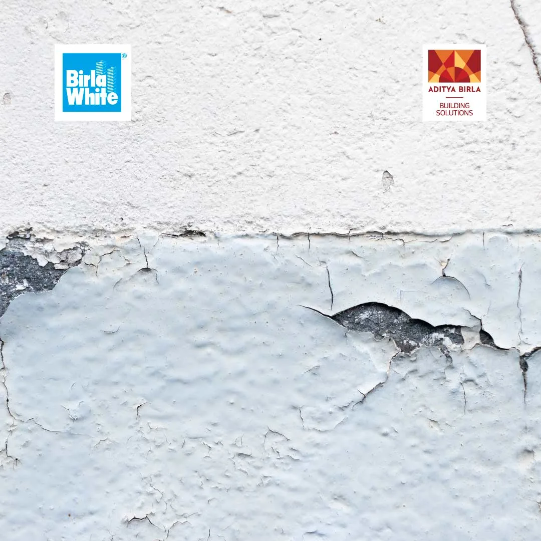 Final Internal 1 - Shield Your Exterior Walls Against Monsoon Rains with Reliable Building Waterproofing.webp