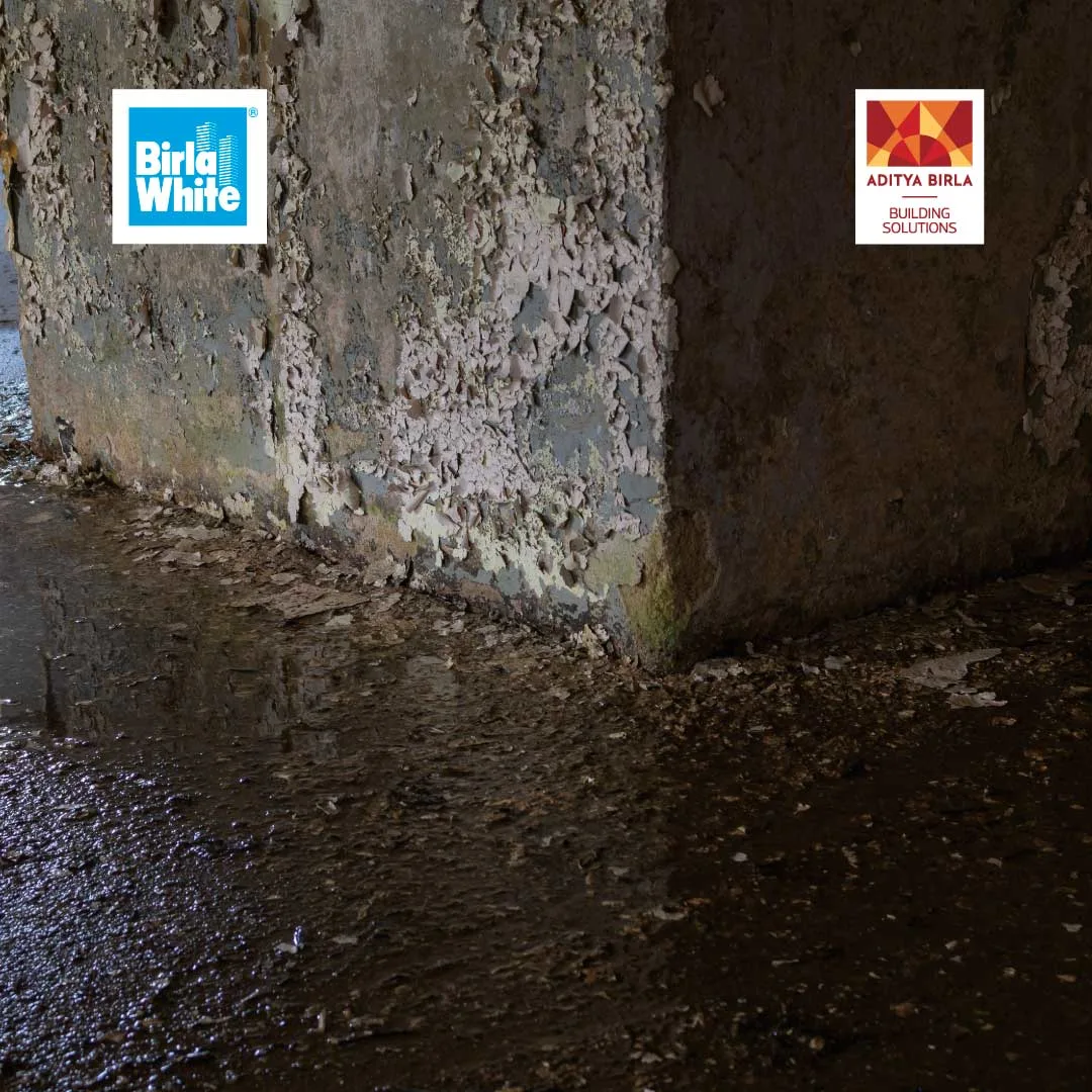 Final Internal 1 - Why does your basement smell musty, and how can I fix it through water leakage solutions.webp