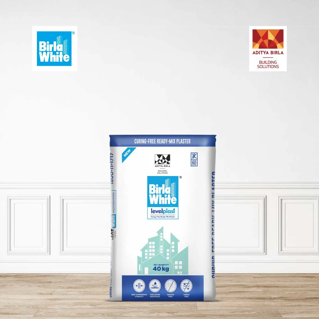 Final Internal 2 - How do you stop black fungus and mold from growing on my walls.webp