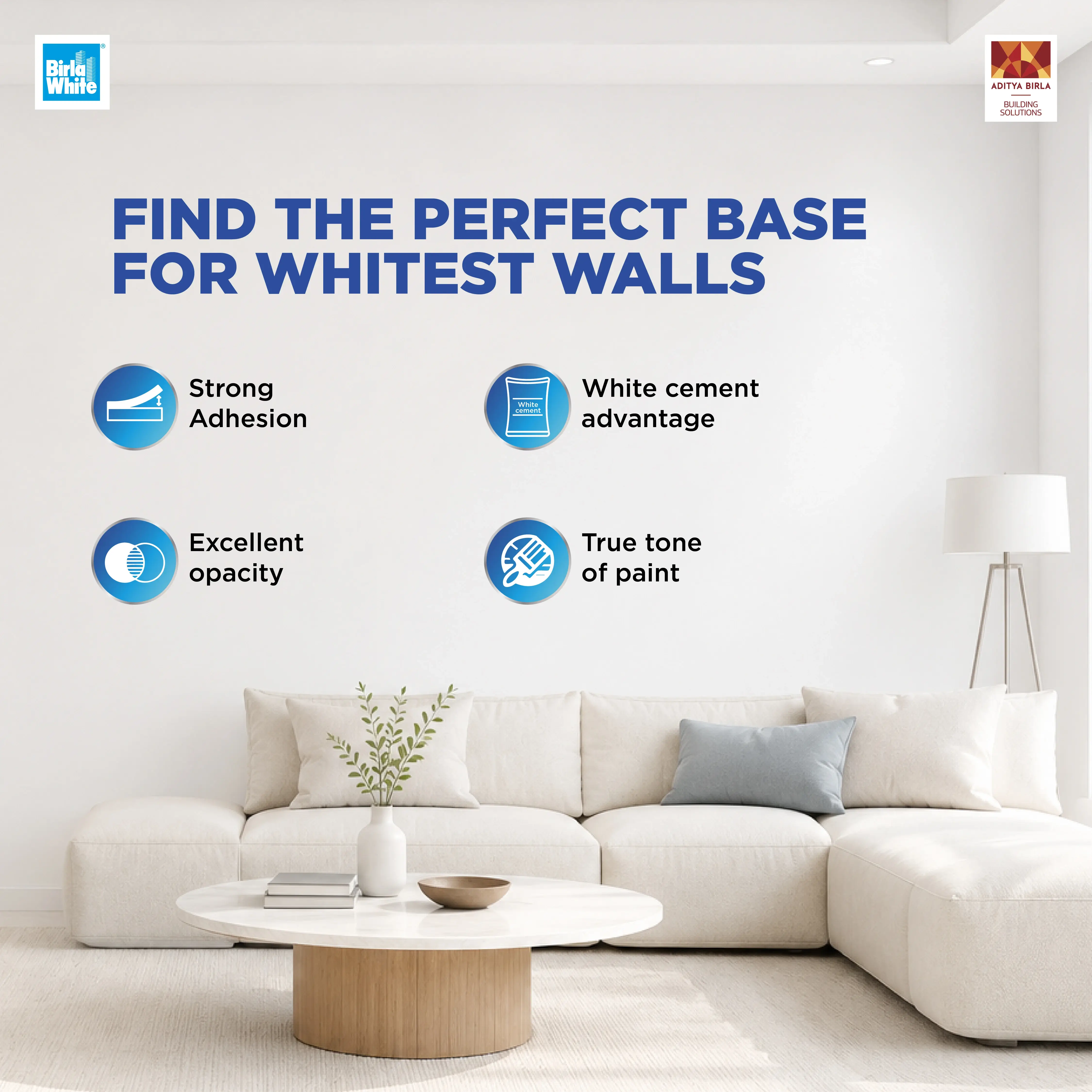 Find the Perfect Base for Whitest Walls .webp