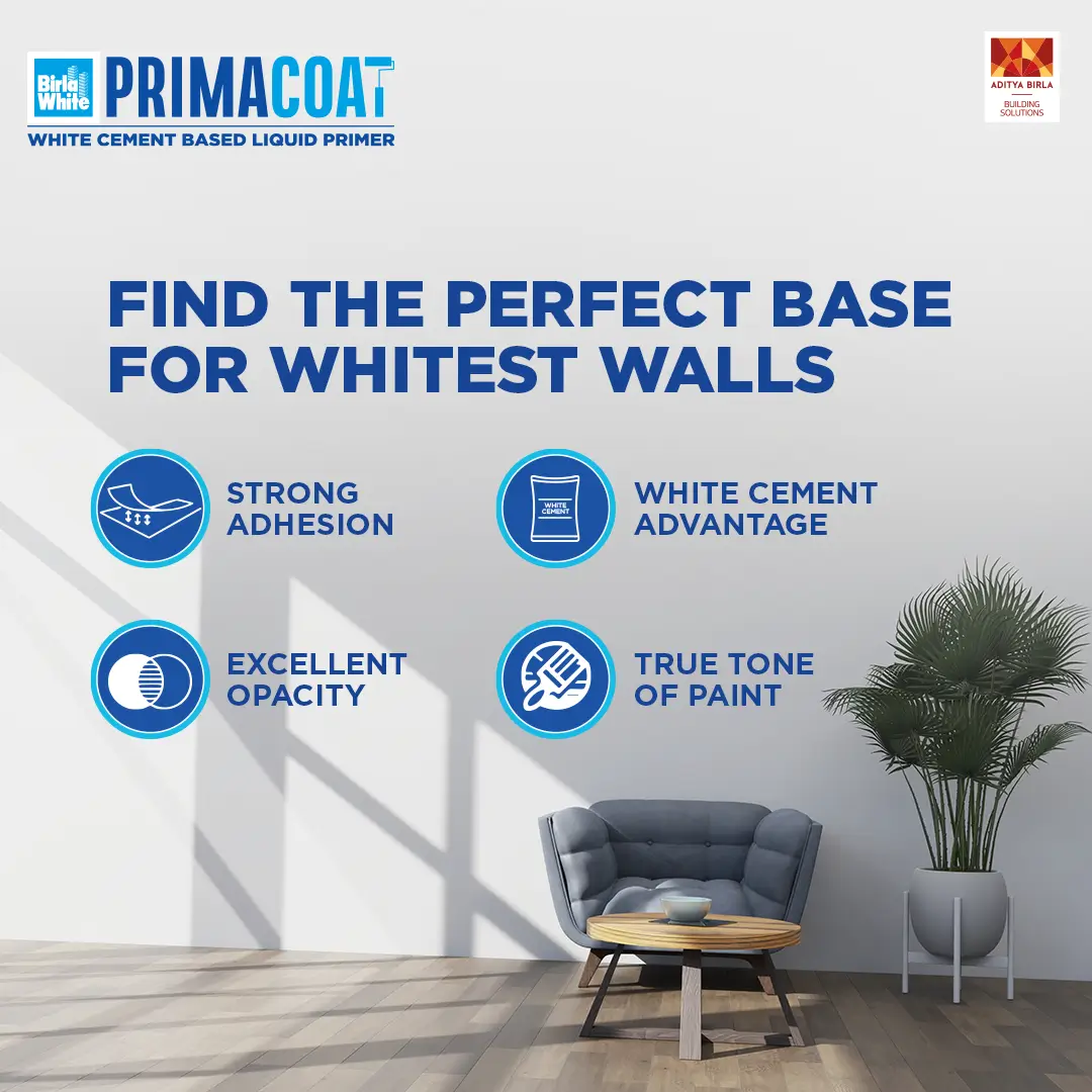 Find the perfect base for whitest walls