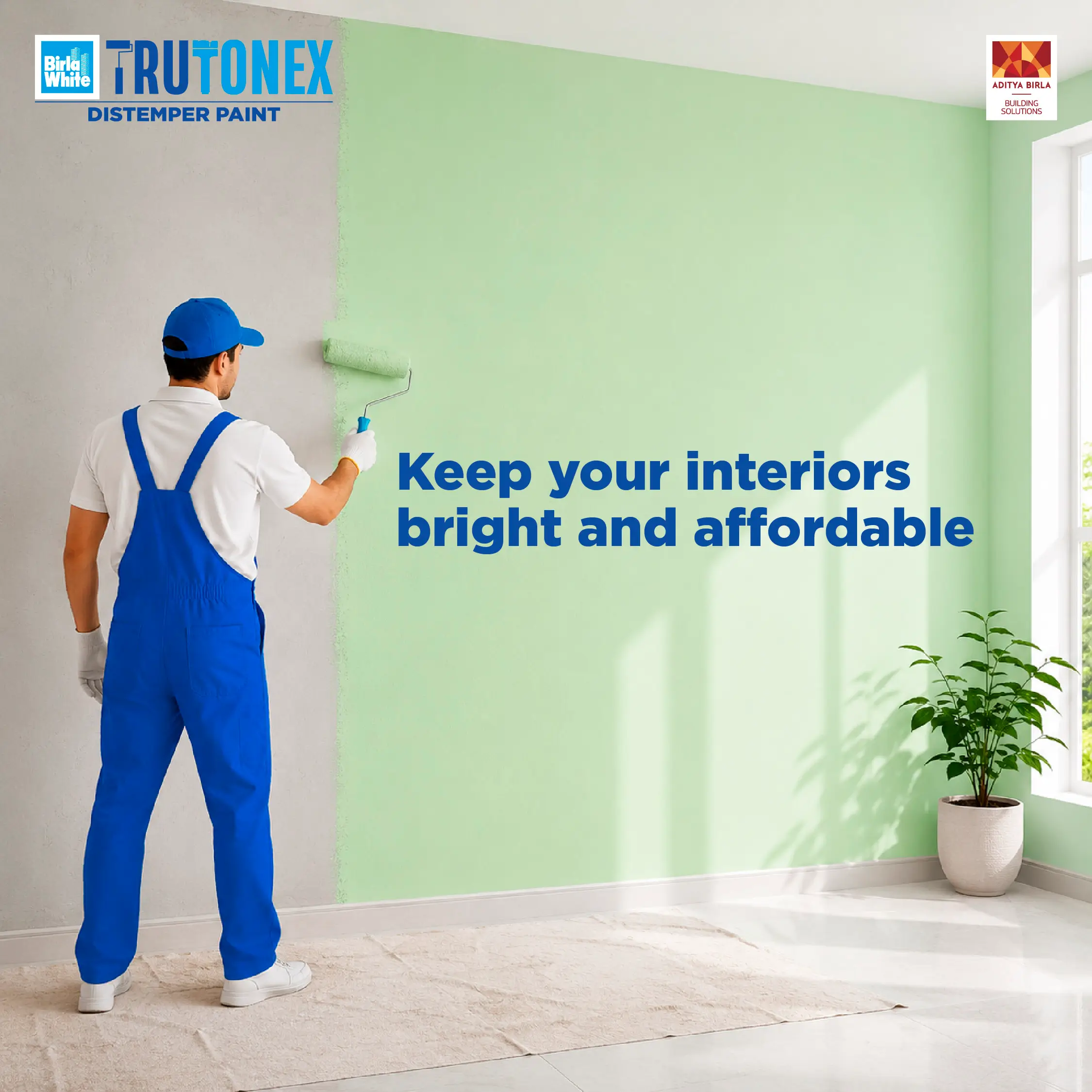 Keep your interiors bright and affordable.webp