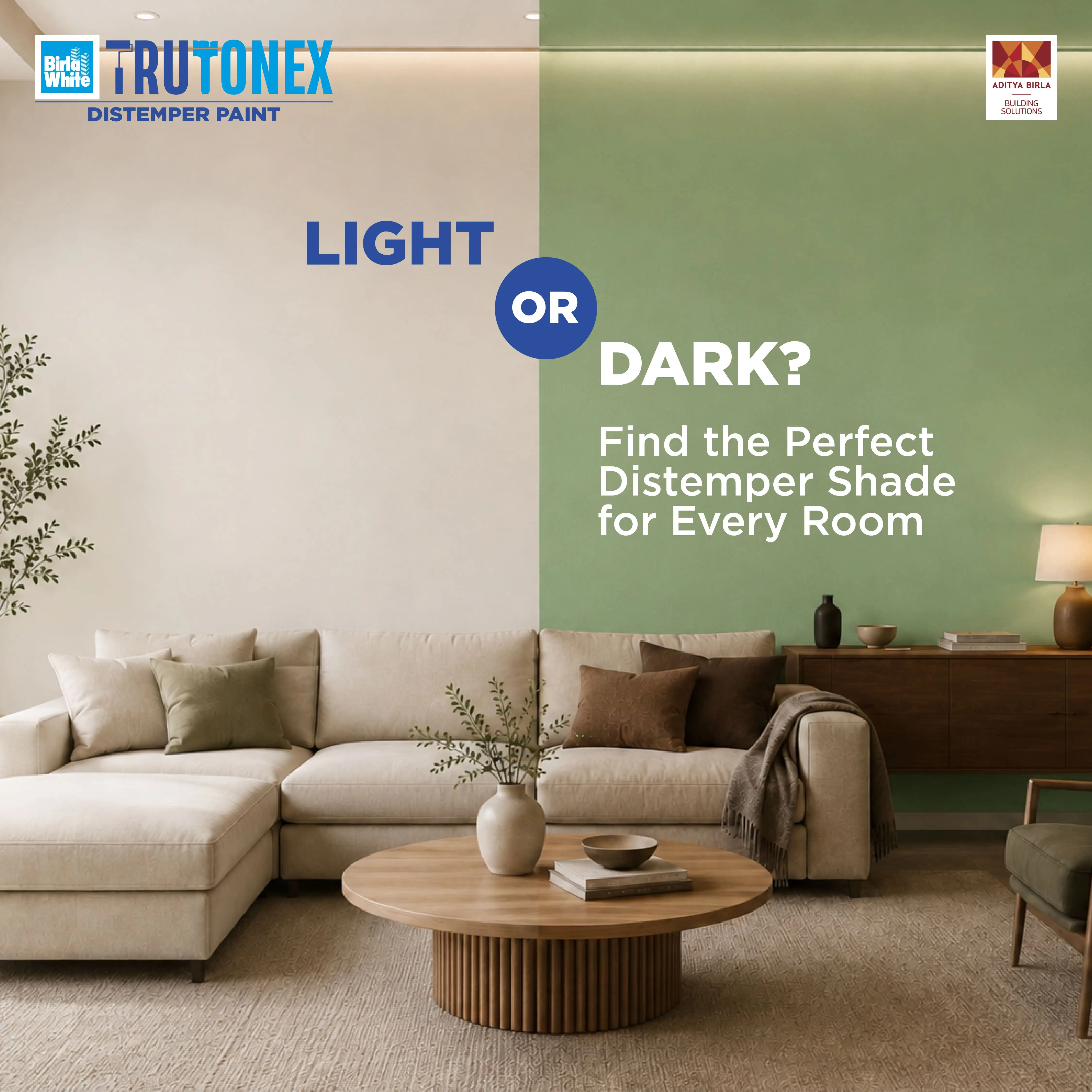  Light or Dark- Find the Perfect distemper shade
