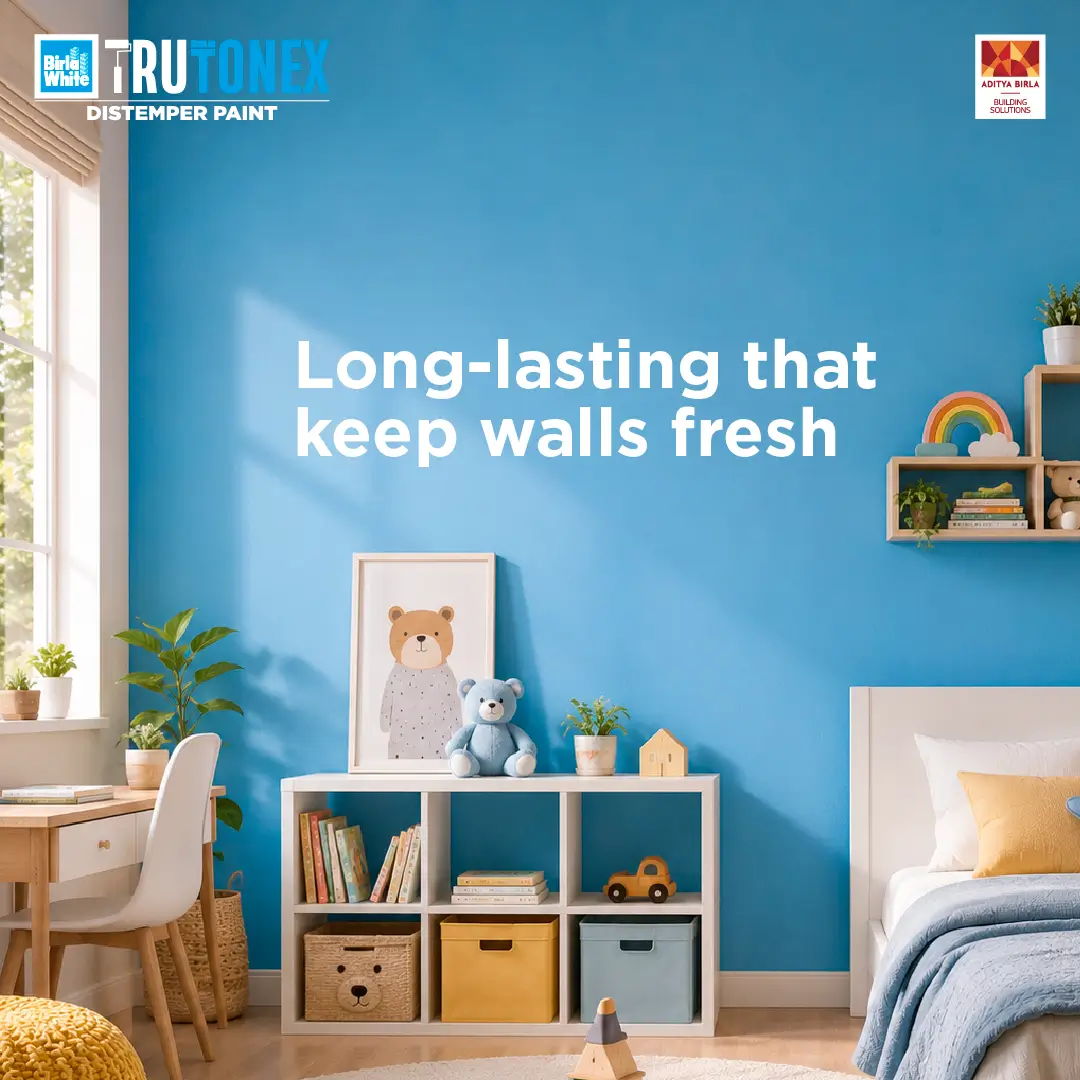 Long-Lasting That Keep Walls Fresh.webp