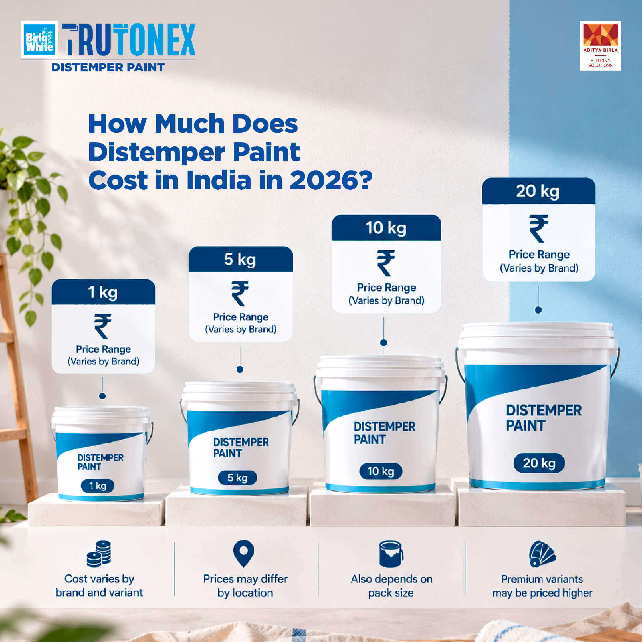 Onsite _Internal_1 How Much Does Distemper Paint Cost in India- (1) (1) (1).jpg