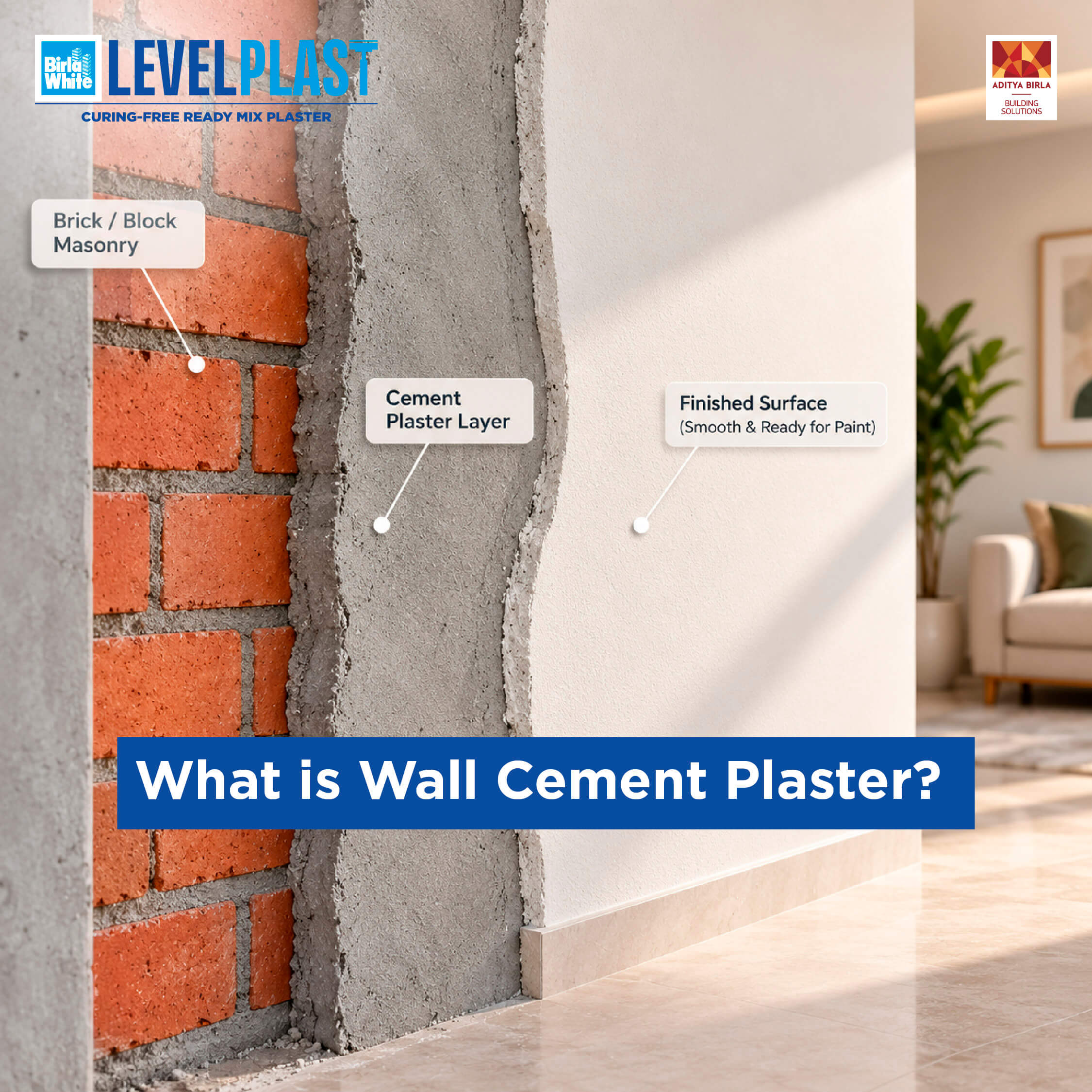 Onsite _Internal_1 What Is Wall Cement Plaster- (1).jpg