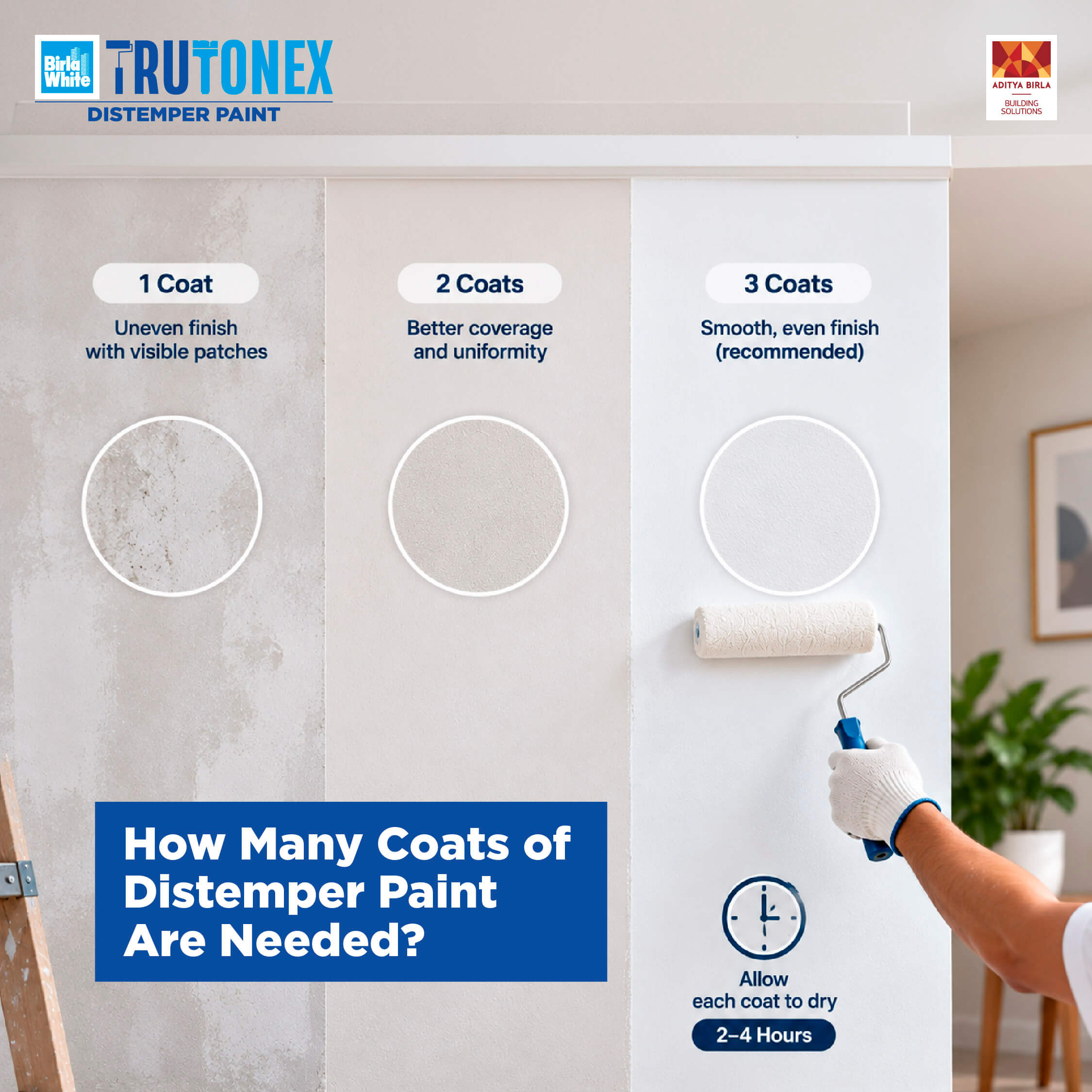 Onsite _Internal_2 How Many Coats of Distemper Paint Should You Apply- (1).jpg