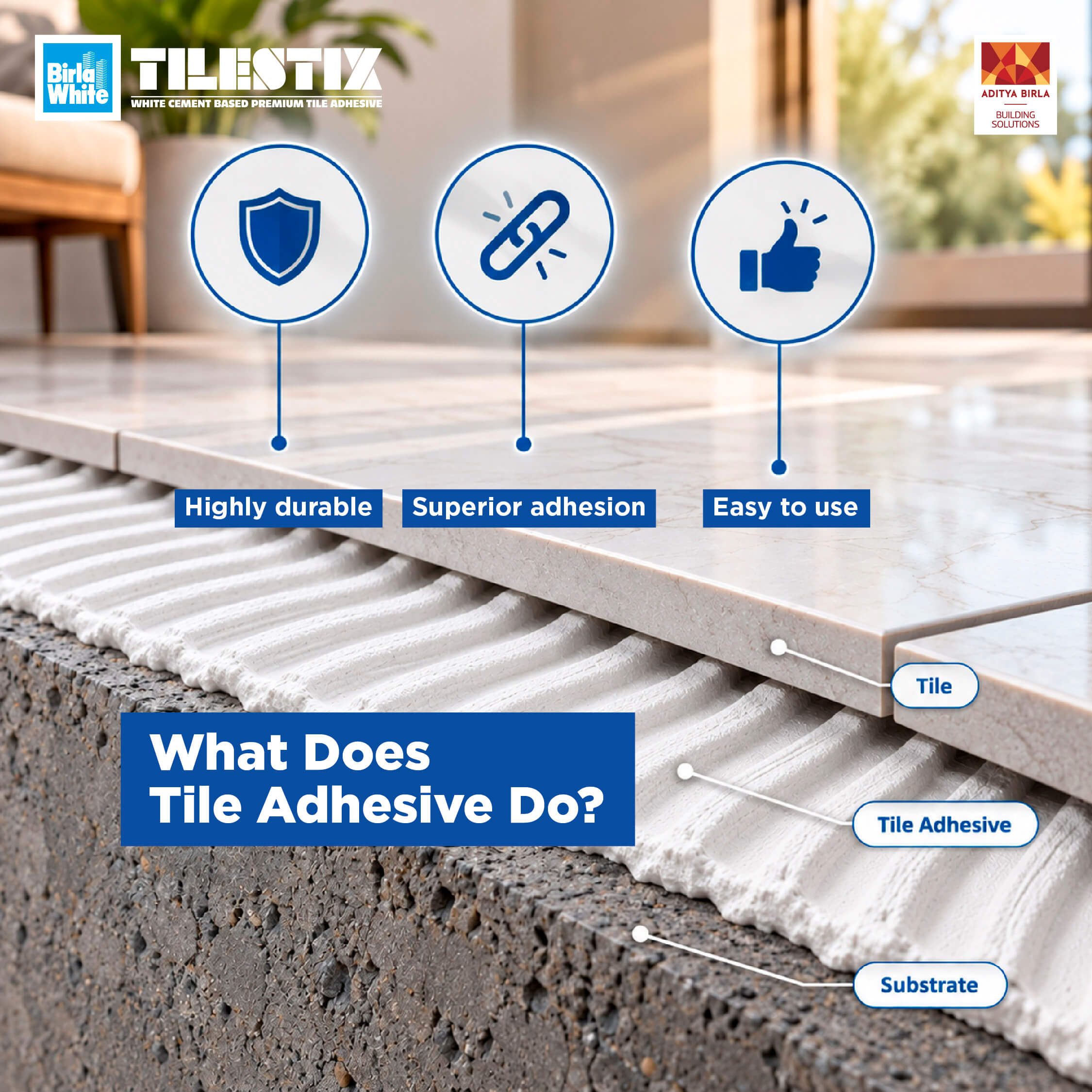 Onsite _Internal_2 How Tile Adhesive Holds Tiles in Place (1) (1).jpg