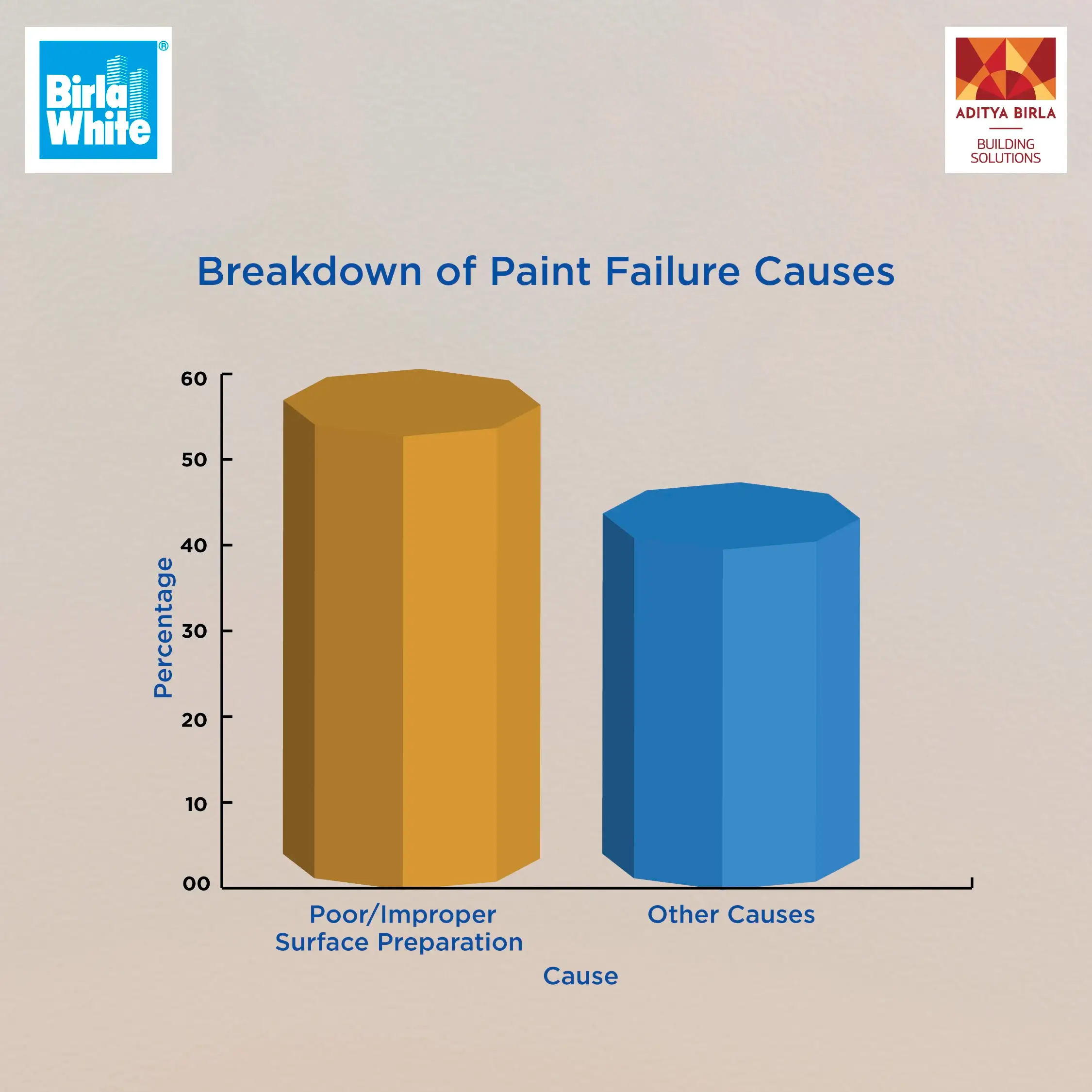 Primary Causes of Paint Failure.webp