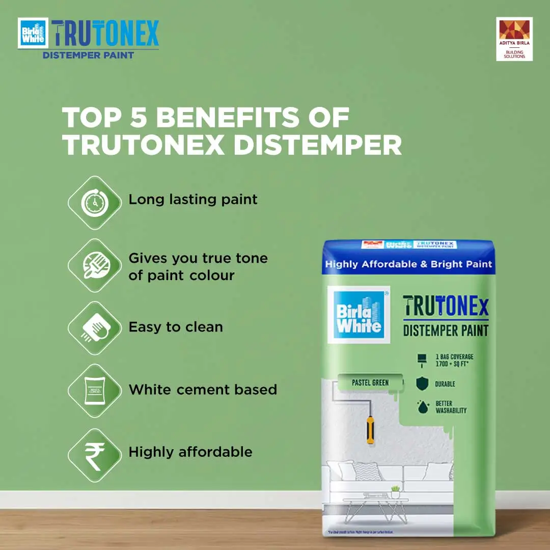 Top 5 benefits of Turtonex Distemper