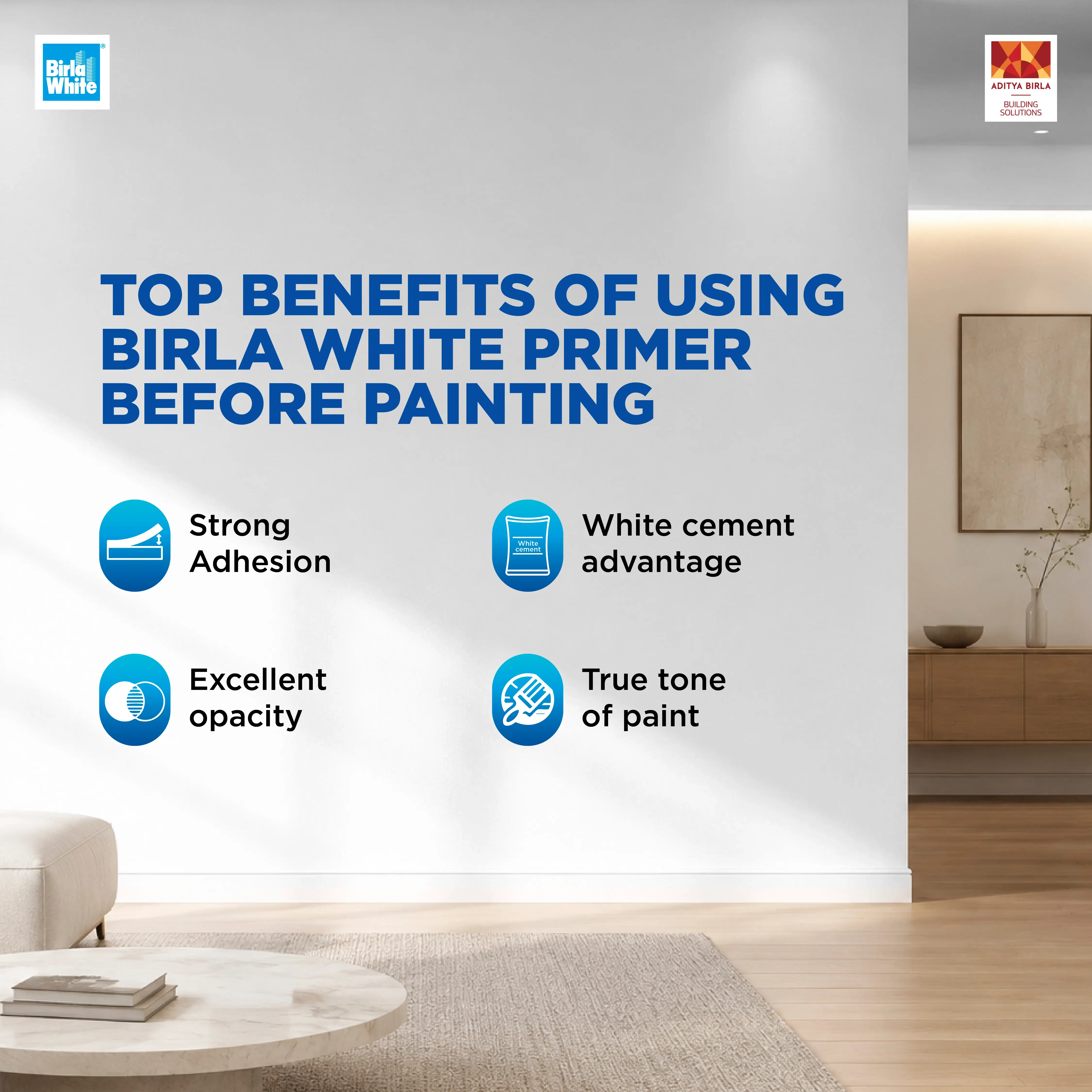 Top Benefits of Using Birla White Primer .webp