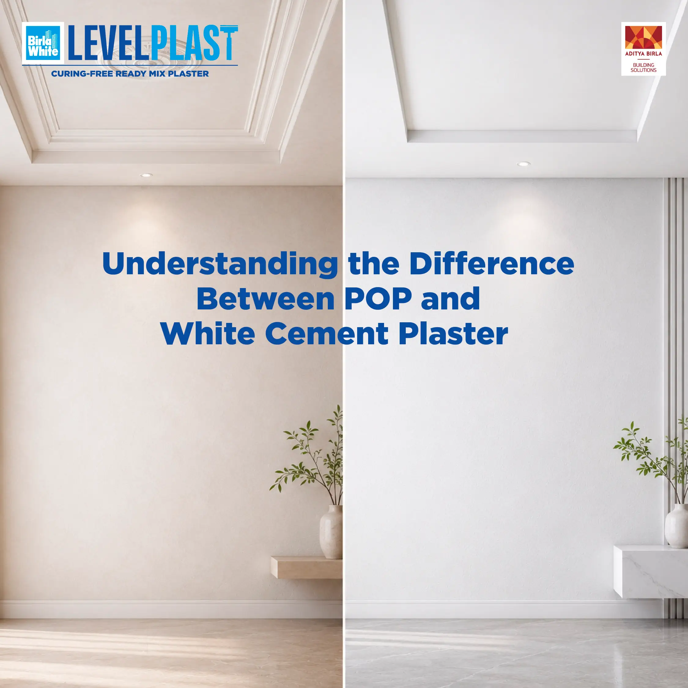 Understanding the Difference Between POP and White Cement Plaster.webp