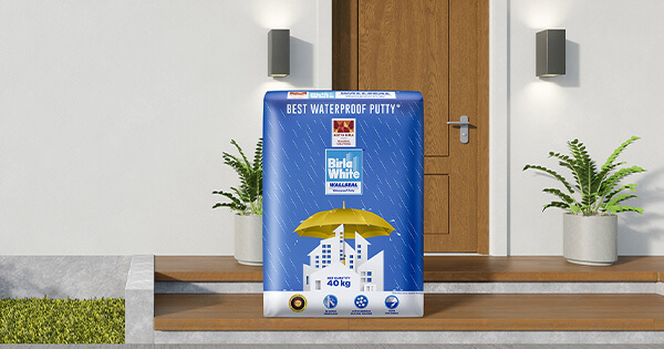 Weatherproof Putty Wallseal Waterproof Wall Putty for Exterior Walls