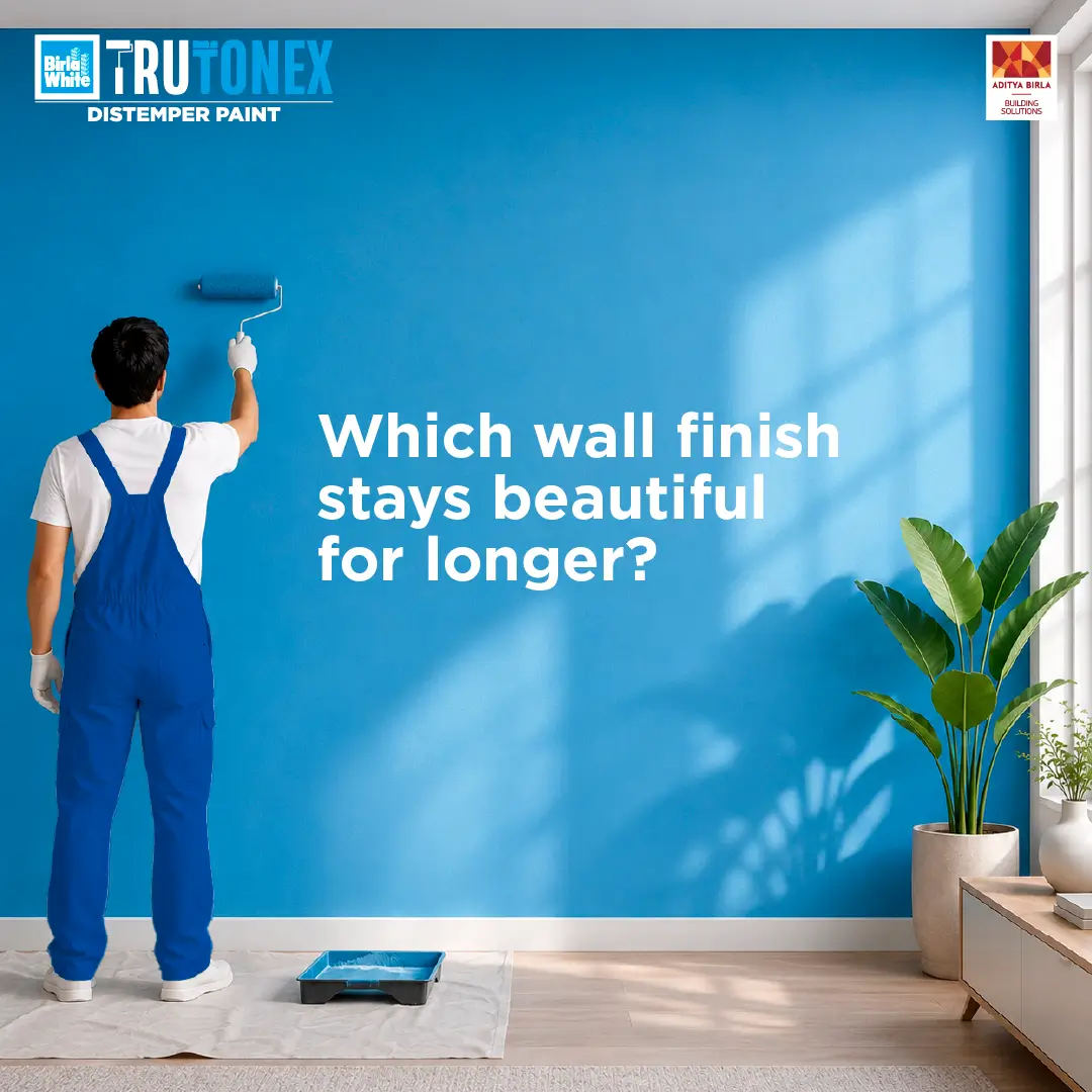 Which Wall Finish Stays Beautiful for Longer.webp