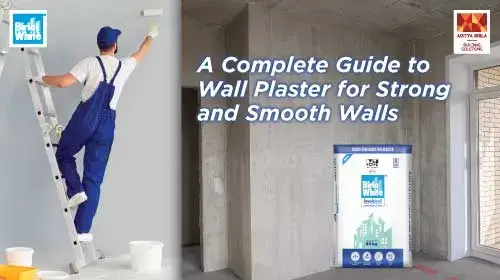 Poly Plaster Wall Plaster Guide: Types, Benefits & Best Cement Plaster