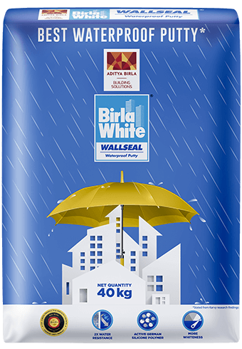 Birla White WallSeal Waterproof Exterior Putty